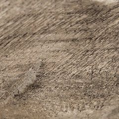 Dashburn Sculpture - Premier Furniture & Mattress