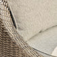 Danson Swivel Lounge w/Cushion (2/CN)