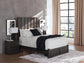 Fraluna Queen Panel Storage Bed, Dresser, Mirror, Chest and Nightstand