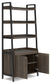 Zendex Bookcase Premier Furniture & Mattress