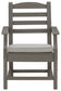 Visola Arm Chair With Cushion (2/CN) - Premier Furniture & Mattress