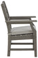 Visola Arm Chair With Cushion (2/CN) - Premier Furniture & Mattress